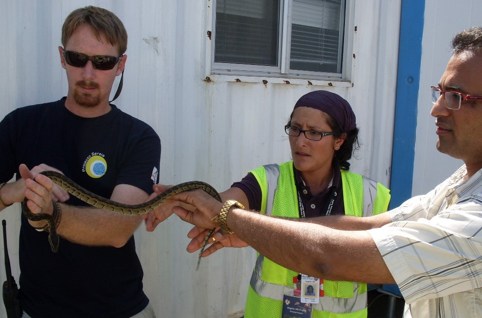 Worksafe Guide Snake Home - Wildlife Safety Solutions